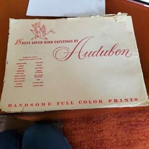 18 Audobon Bird Prints Vintage